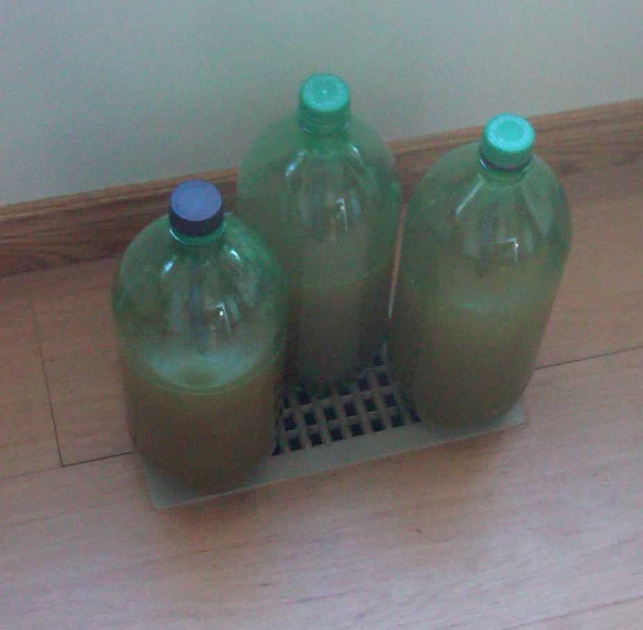 Blog Image