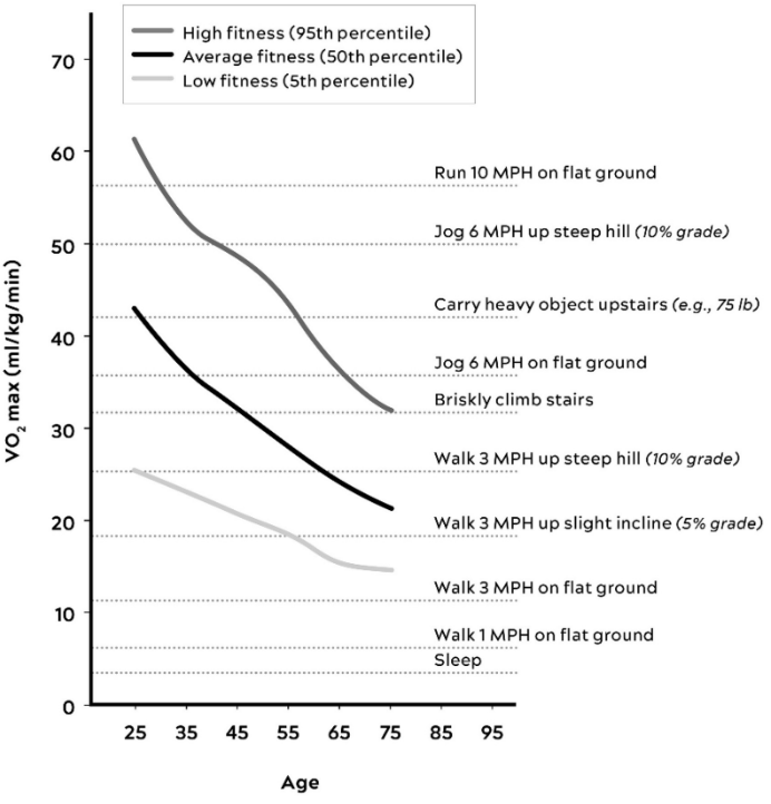 VO2 max decline with age